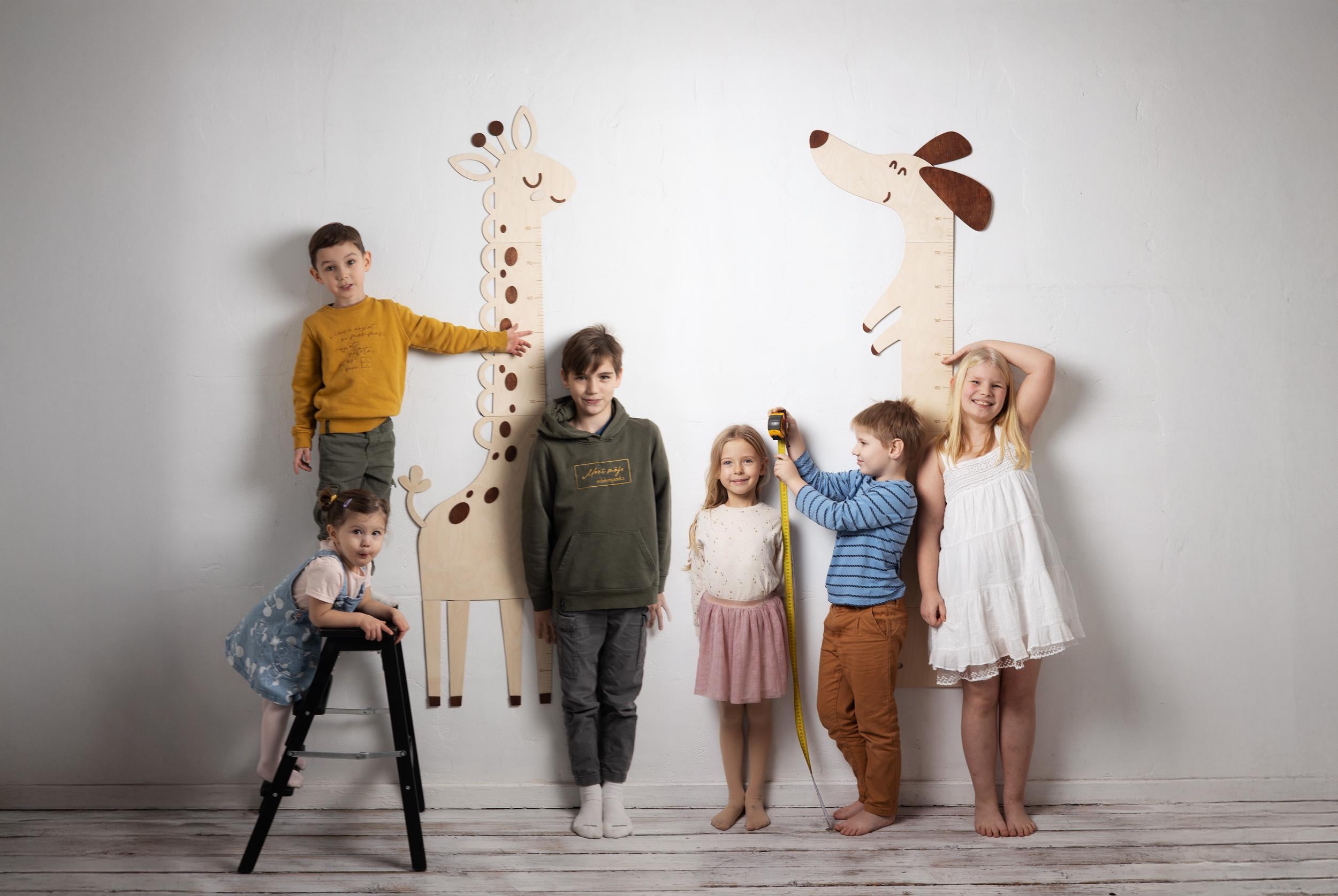 LAZY CAT GROWTH CHART